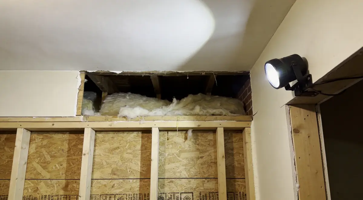 Flood cut in drywall with insulation removed and studs exposed