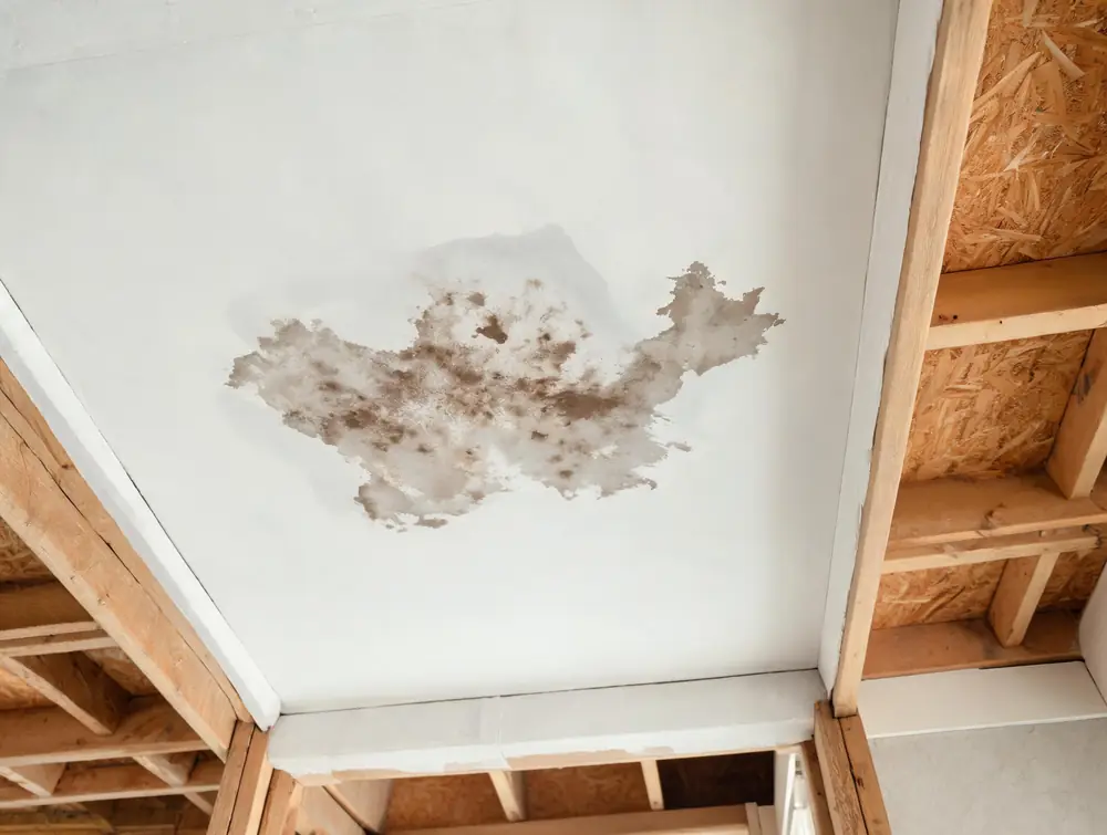 Staining bleeding back through fresh paint on a ceiling