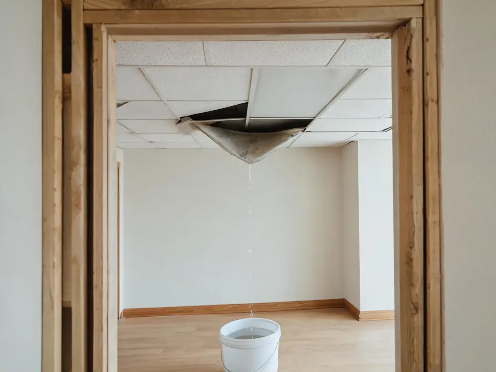Saturated ceiling tile sagging from a suspended grid