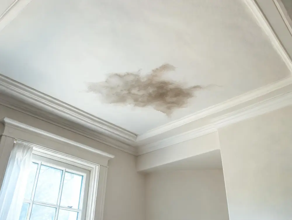 Staining bleeding back through fresh paint on a ceiling