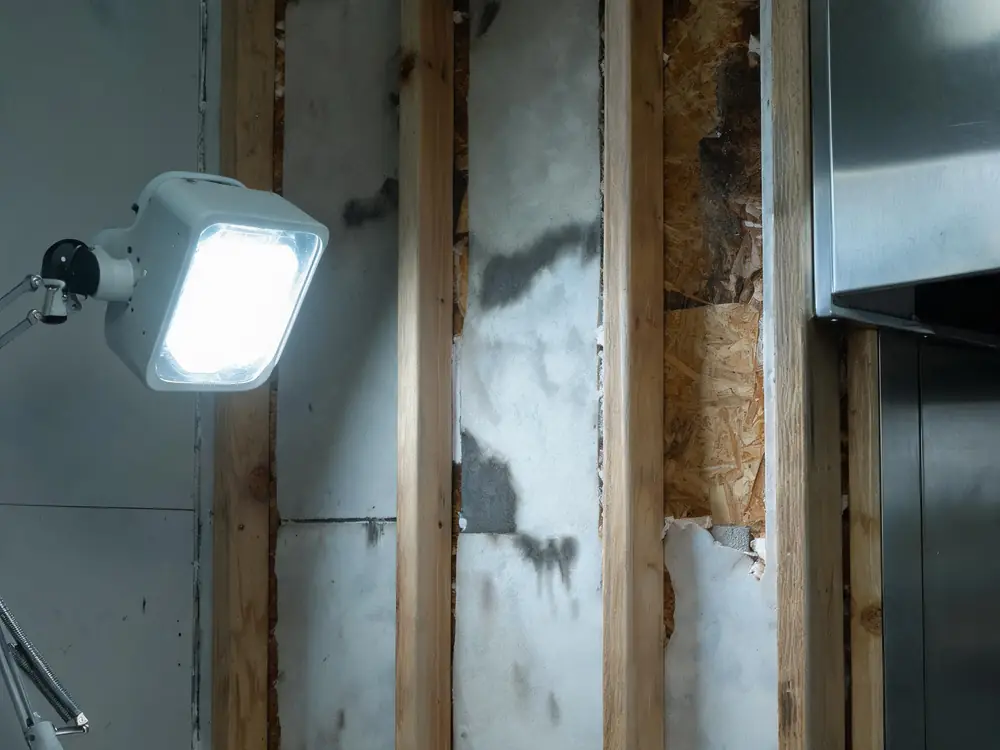 Commercial kitchen wall opened to show damp block work behind